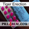 Tiger Erection 35